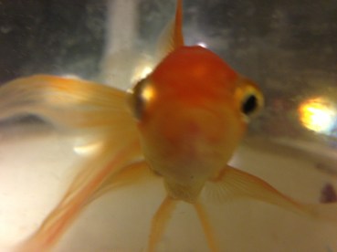 you talkin' to me? probably not. No one does. 