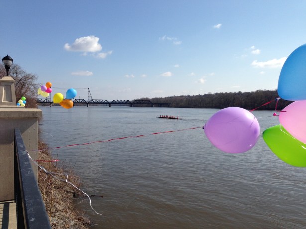 no appendages were harmed in the making of this photo